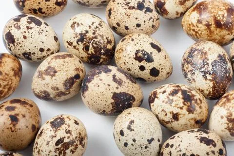 Quail eggs Foto stock