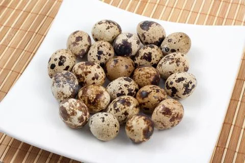 Quail eggs Foto stock