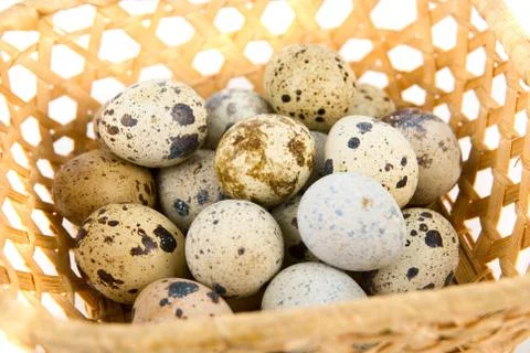 Quail eggs Foto stock