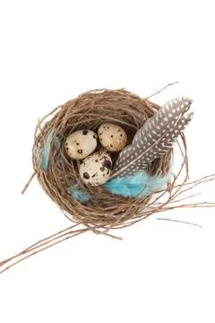 Quail eggs Foto stock