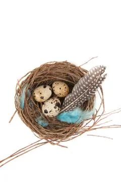 Quail eggs Foto stock