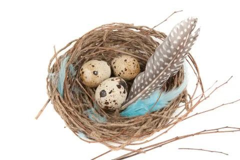Quail eggs Foto stock