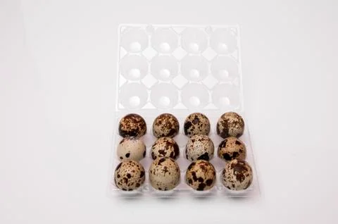 Quail eggs Stock Photos