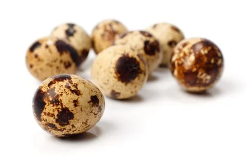 Quail eggs Stock Photos
