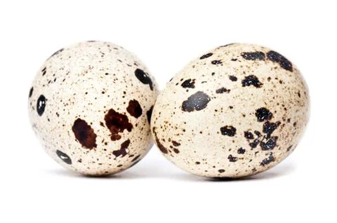Quail eggs Stock Photos
