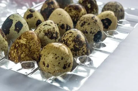 Quail eggs Stock Photos