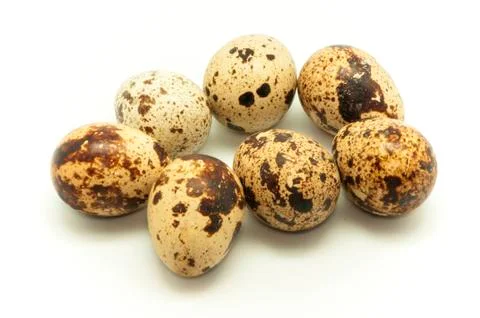 Quail eggs 스톡 사진
