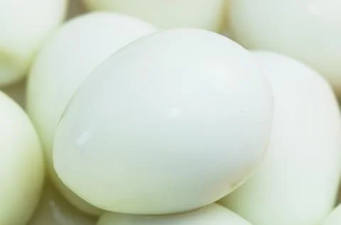 Quail eggs Stock Photos