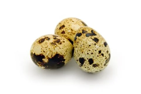 Quail eggs Stock Photos