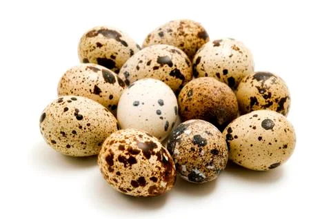 Quail eggs Stock-Fotos