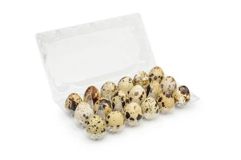 Quail eggs 写真素材