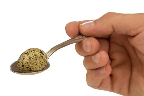 Quail eggs Foto stock