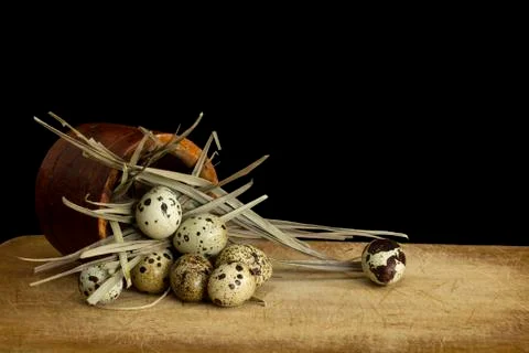 Quail eggs Stock Photos