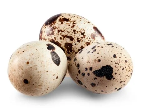 Quail eggs Foto stock
