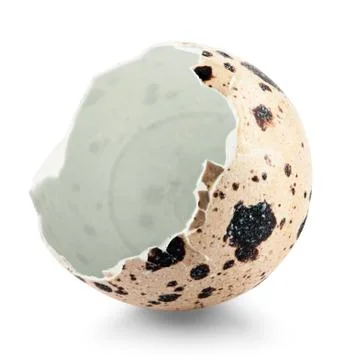 Quail eggs Stock Photos