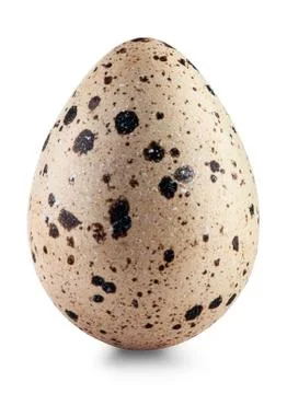 Quail eggs Stock Photos