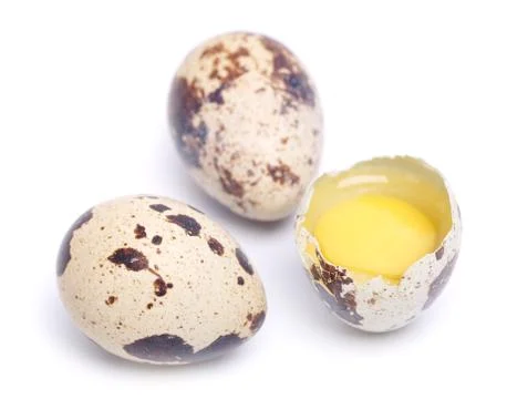 Quail eggs Stock Photos
