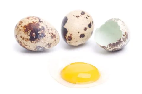 Quail eggs Stock Photos