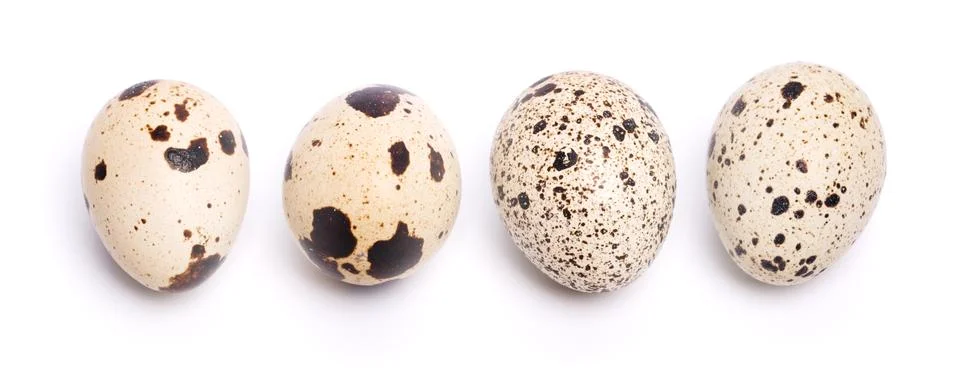 Quail eggs Stock Photos