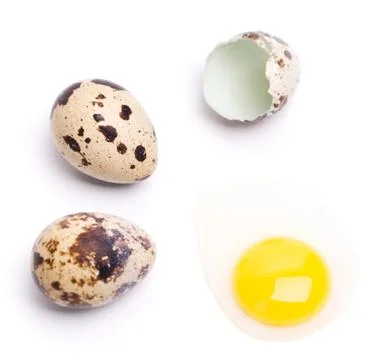 Quail eggs Stock Photos