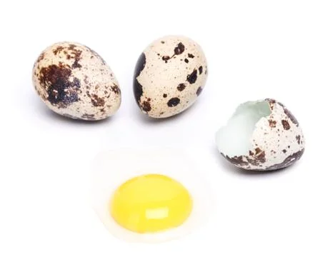 Quail eggs Stock Photos
