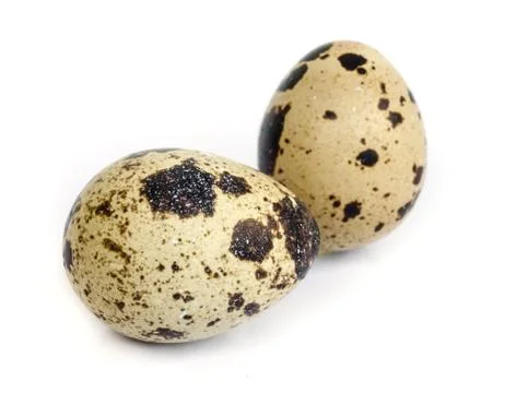 Quail eggs, Stock Photos