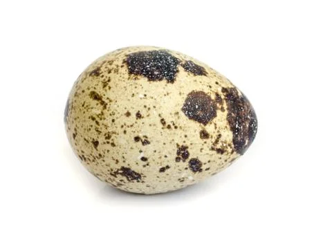 Quail eggs, Stock Photos