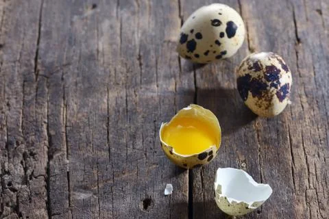 Quail eggs Stock Photos
