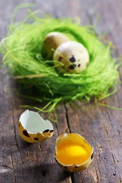Quail eggs 스톡 사진