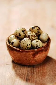 Quail eggs Foto stock