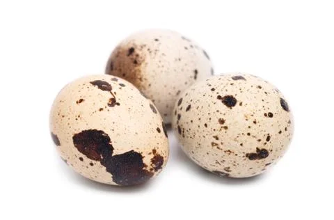 Quail eggs Stock Photos