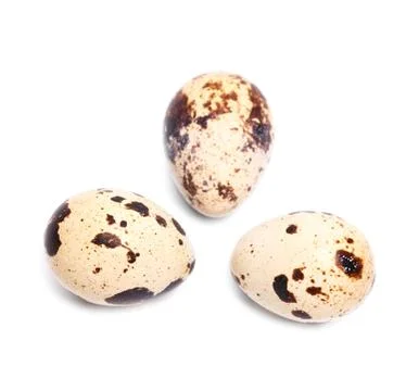 Quail eggs Stock Photos