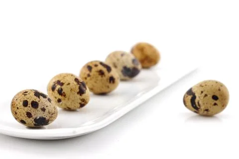 Quail eggs Stock Photos