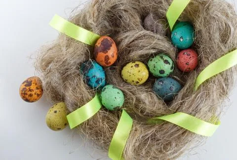 Quail eggs Stock Photos
