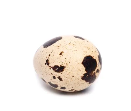 Quail eggs Stock Photos