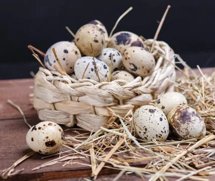 Quail eggs Photos