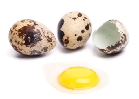 Quail eggs Photos