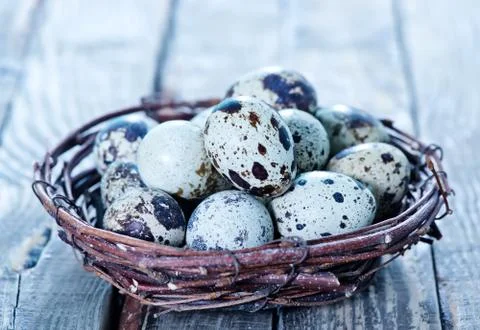 Quail eggs Stock Photos