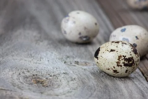 Quail eggs Stock Photos