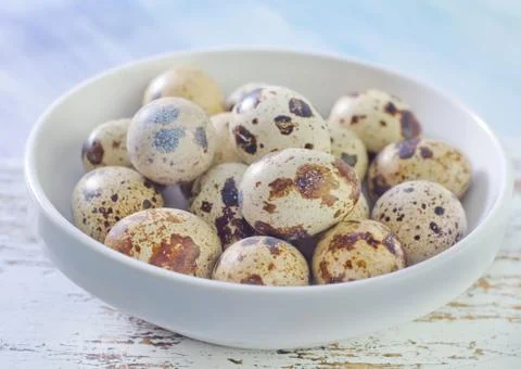Quail eggs Stock Photos