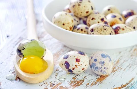 Quail eggs 스톡 사진
