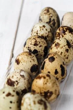 Quail eggs Stock Photos