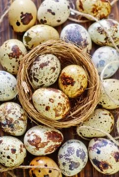 Quail eggs Stock Photos