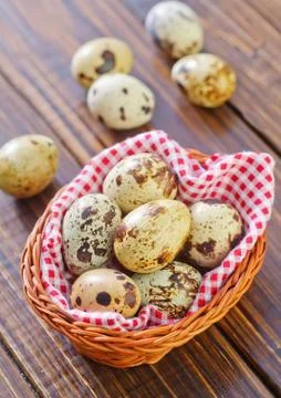 Quail eggs Stock Photos
