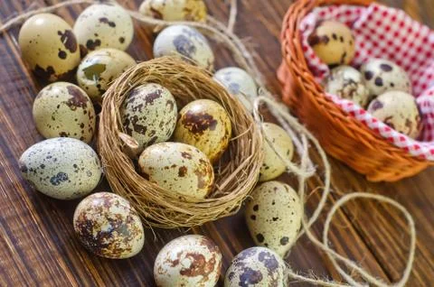 Quail eggs Stock Photos