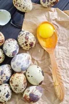 Quail eggs Foto stock