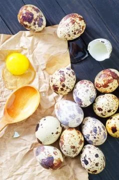 Quail eggs Stock Photos