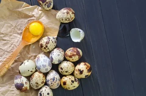 Quail eggs Foto stock
