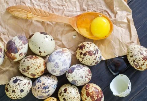 Quail eggs Stock Photos