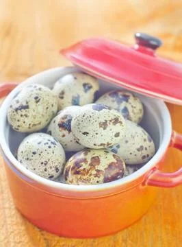 Quail eggs Stock Photos